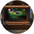 Televizyon