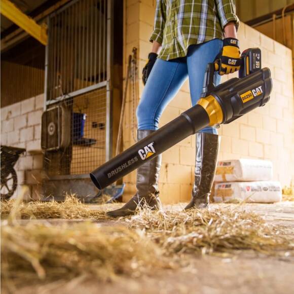 CAT DG250 18Volt 4.0Ah. Li-ion Tek Akülü Devir Ayarlı Profesyonel Yaprak Üfleme - 7