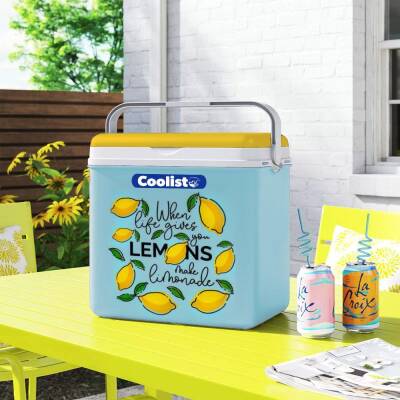 Coolist CLB30LM 30 Litre Limon Desenli Buzluk + 3 Adet 400gr. Buz Kaseti - 4