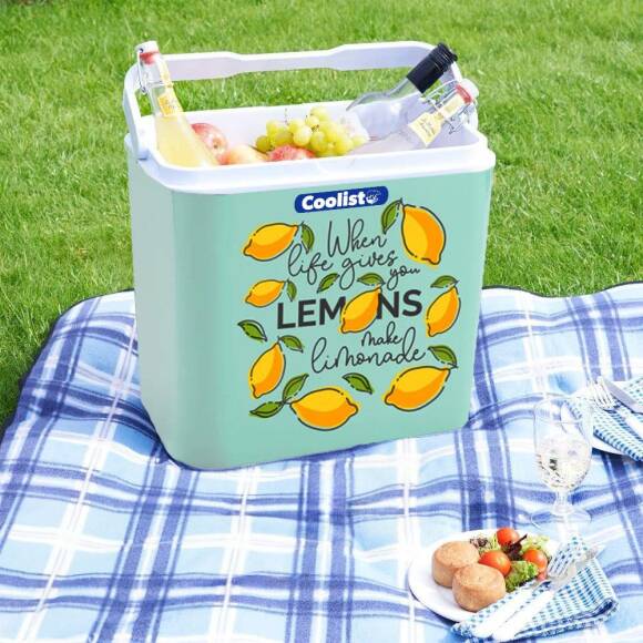 Coolist CLB30LM 30 Litre Limon Desenli Buzluk + 3 Adet 400gr. Buz Kaseti - 6