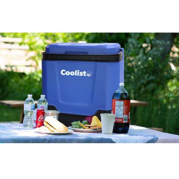Coolist CLT33 12Volt/220Volt AC/DC 33 Litre Sıcak/Soğuk Oto Buzdolabı - 9