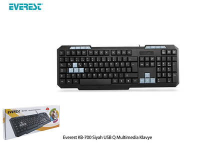 Everest KB-700 Siyah USB Q Multimedia Klavye - 4