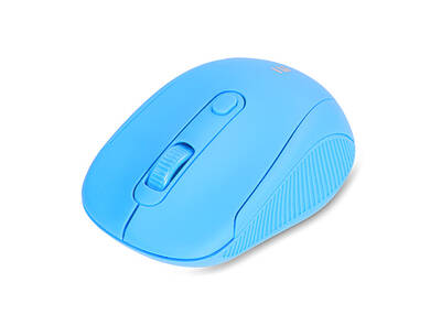 Everest SM-300 Usb Mavi 4D Optik Alkalin Pil Kablosuz Mouse - Everest (1)