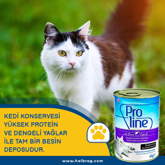 Proline Prk-003 Ciğerli Yetişkin Kedi Konservesi 415 Gr