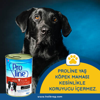 Proline - Proline Prk-050 Biftekli Yetişkin Köpek Konservesi 415 Gr (1)