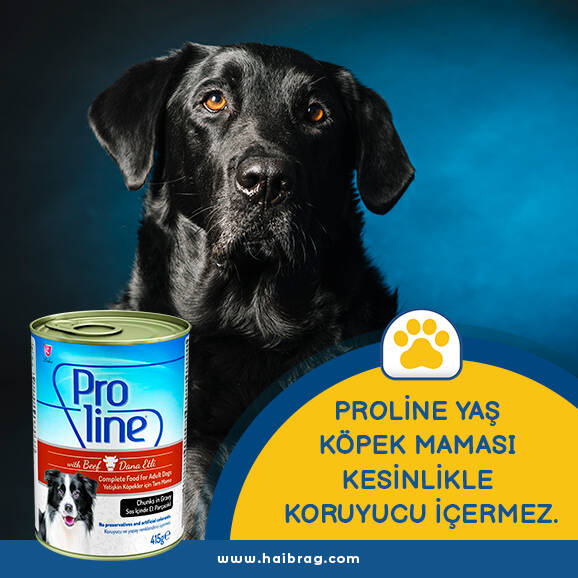 Proline Prk-050 Biftekli Yetişkin Köpek Konservesi 415 Gr - 2