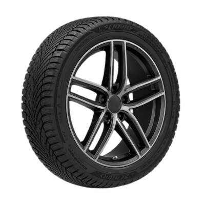 Sentury 195/55R16 87H WinterDragon 2026 - Sentury