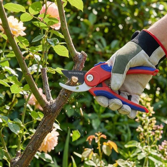 WORKPRO WP332001 180mm Profesyonel Bağ Bahçe Dal Budama Makası - 4