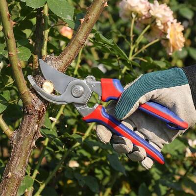 WORKPRO WP332013 220mm Bypass Cr-V Profesyonel Bağ Bahçe Dal Budama Makası - 5