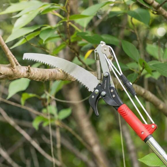 WORKPRO WP333006 270cm 2 IN 1 Teleskobik Saplı Profesyonel Ağaç Budama Testeresi ve 25mm Dal Budama Makası - 4