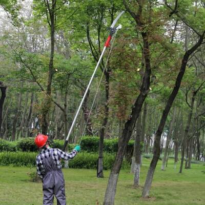 WORKPRO WP333006 270cm 2 IN 1 Teleskobik Saplı Profesyonel Ağaç Budama Testeresi ve 25mm Dal Budama Makası - 8