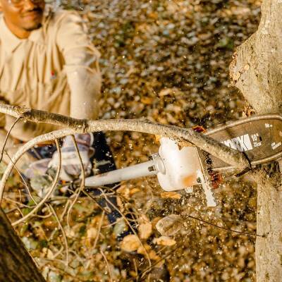 WORX WA0222 WG186E.1 ile Uyumlu 25CM Teleskobik Uzatmalı Zincirli Dal Budama Başlığı - 8