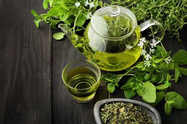 Yeşil Çay Ne Zaman İçilmelidir? Yeşil Çay Tüketim Rehberi